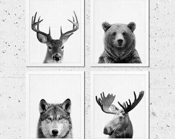 Woodland Animals Print, Animals Print Set of Four, Bear Moose Wolf Deer Photo, Nursery Kids Baby Room Decor, Black White Modern Printable