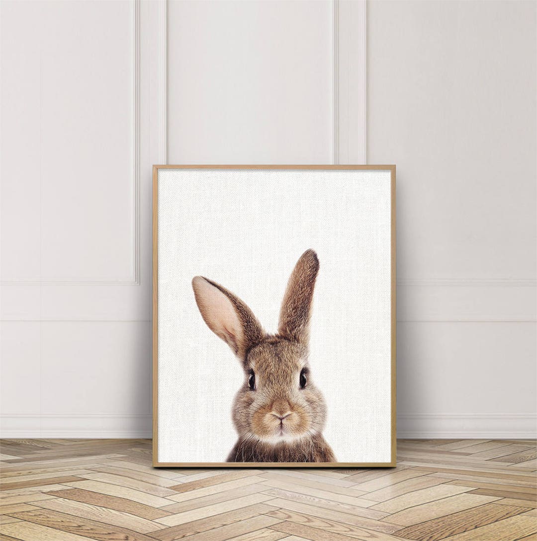 Small Rabbit Print Bunny Print, Rabbit Print, Woodlands Animals Art Photo, Printable ...