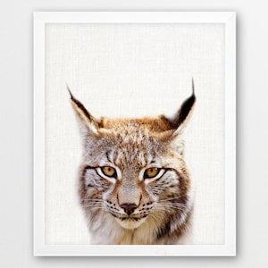 Bobcat Print, Bobcat Lynx Print, Woodlands Forest Animals Art Photo, Nursery Animal Wall Art, Animal Color Photo Print, Kids Room Printable
