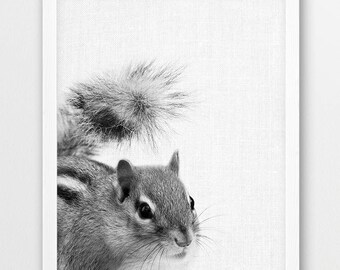 Chipmunk Photo Print, Woodlands Animal Photography (Digital Download)