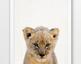 Löwenjunges Fotodruck, Safari Tier Kinderzimmer Dekoration (Digital Art)