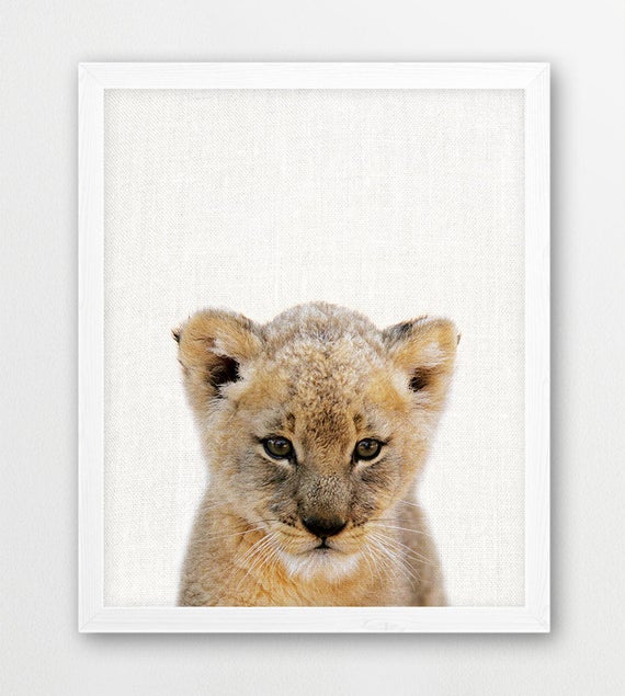 Lion Cub Print Cute Baby Lion Photo Safari African Animals Etsy
