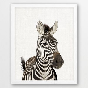 Zebra Printable African Safari Savanna Animals Photography - Etsy