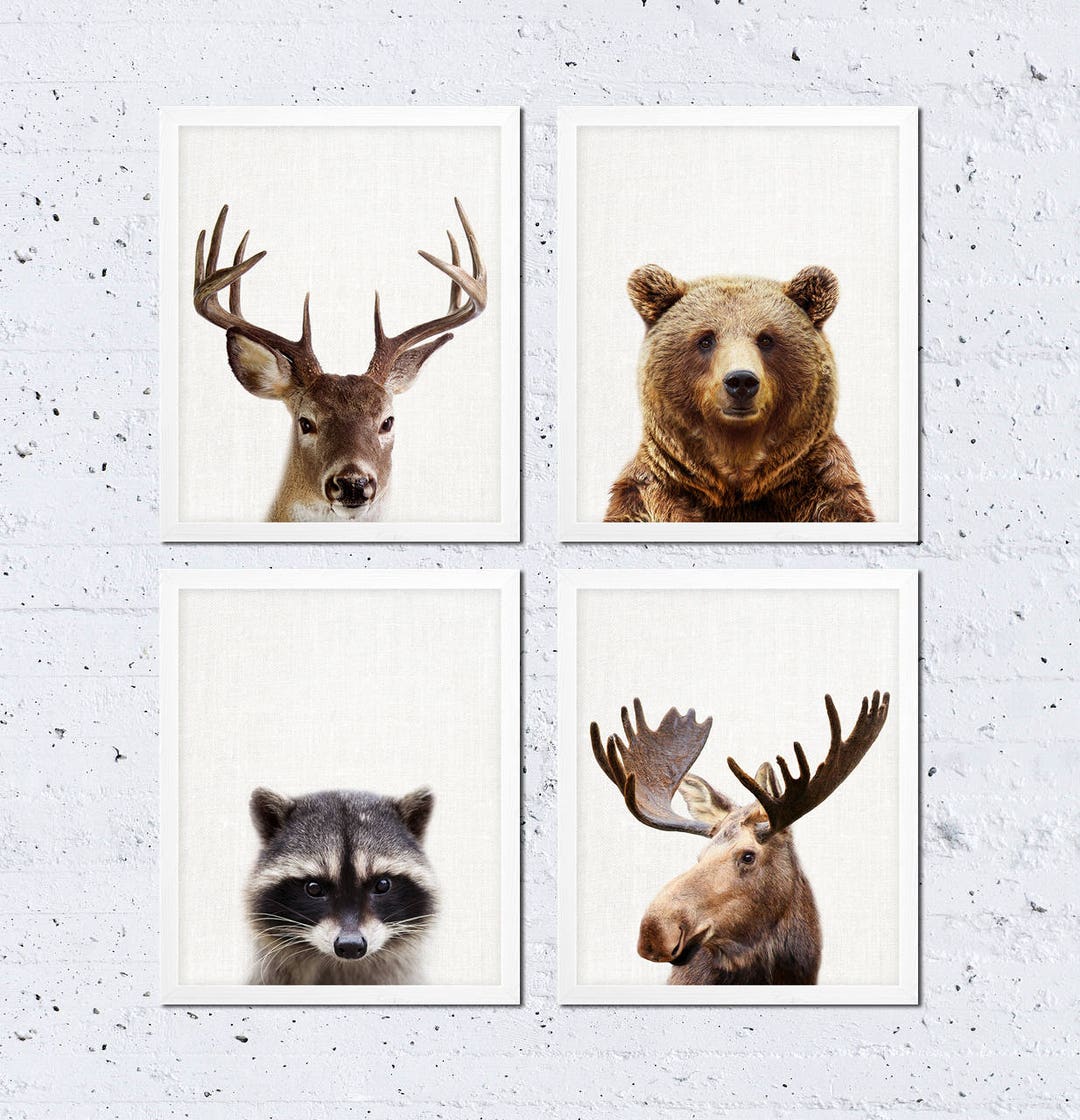 Woodland Nursery Decor, Animals Print Set of Four, Bear Moose Raccoon ...