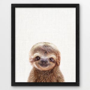 Sloth Print, Cute Baby Sloth Photo, Animals Art Photo, Baby Shower Gift ...