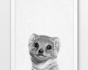 Mongoose Print, Mongoose Photo, African Safari Animals Art Photo, Nursery Animal Wall Art, Black White Photo Print, Kids Room Printable Art