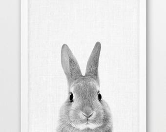 Rabbit Print, Cute Bunny Print, Woodlands Animals Photo, Nursery Baby Shower Gift Wall Art, Baby Animal Black White Photo, Kids Room Decor