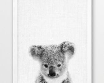 Lámina de koala, foto de un lindo bebé koala, foto de animales australianos, arte de pared de animales para guardería, foto de animales en blanco y negro, decoración imprimible para habitación infantil