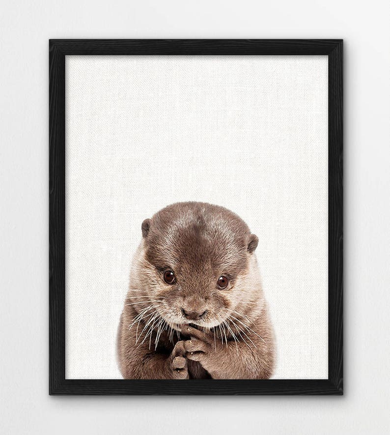 Otter Print Baby Otter Photo Woodlands Animals Art Etsy Nederland