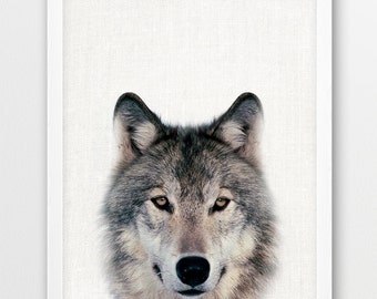 Grey Wolf Photography Print, Woodland Nursery Art (Digital Download)