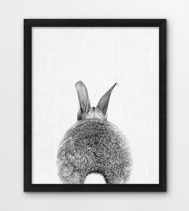 Rabbit Tail Print Bunny Print Woodlands Animals Art Photo Etsy