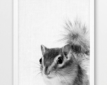 Chipmunk Print, Cute Chipmunk Photo, Woodlands Animals Black White Photography, Nursery Baby Shower Wall Gift Art, Kids Room Printable Decor