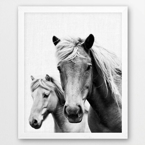 Horses Printable Black and White Horse Wall Art Animal | Etsy