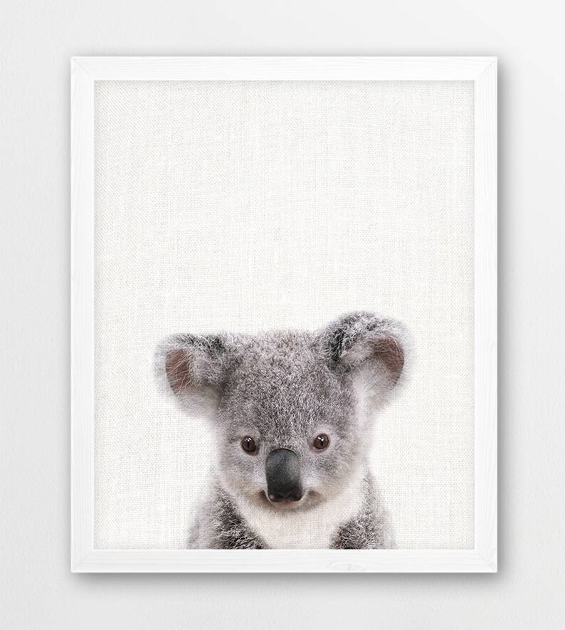 Nursery Wall Art Koala Print Baby Koala Cute Australian Etsy