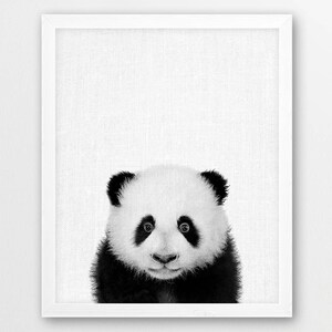 Panda Print Cute Baby Panda Bear Photo Print Woodlands Etsy Panda Print Cute Baby Panda Bear Photo Print Woodlands Etsy