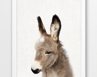 Cute Donkey Photo Print, Nursery Animal Wall Art (Digital Download)