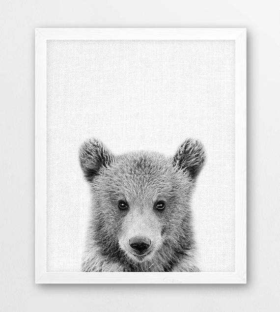 Bear Print Cute Baby Bear Cub Photo Print Woodlands Animals Etsy