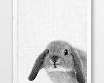 Bunny Print, Rabbit Print, Cute Animals Photography, Animal Home Nursery Wall Art, Bunny Black White Photography, Kids Room Printable Decor