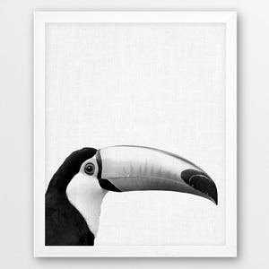 Toucan Print, Exotic Bird Photography, Toucan Parrot Black White Photo Print, Nursery Jungle Wall Art, Kids Room Digital Printable Art Decor