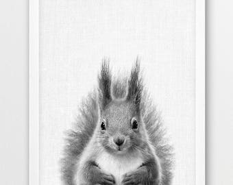 Squirrel Print, Squirrel Photo Print, Woodlands Animals Black White Photography, Nursery Animals Wall Art, Kids Room Decor, Printable Animal