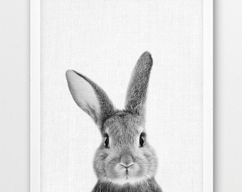 Cute Bunny Photo Print, Black and White, Nursery Wall Art (Digital Download)