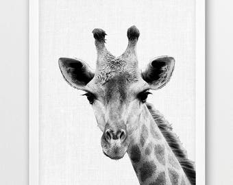 Giraffe Photo Print, Africa Savanna, Black and White Nursery Art (Digital Download)