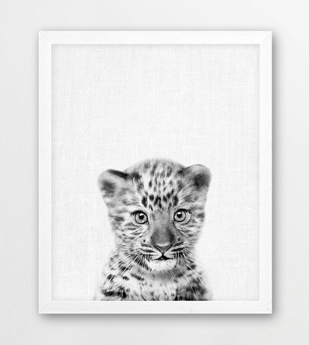 Nursery Wall Art, Nursery Decor, Leopard Print, Baby Leopard Cub Photo