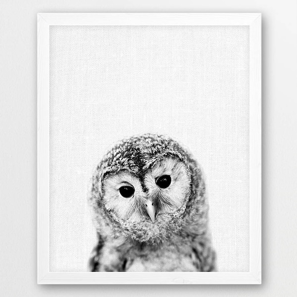 Owl Print, Cute Baby Owl Print, Woodlands Forest Animals Photography, Black White Photo Print, Nursery Kids Room Printable Modern Wall Decor