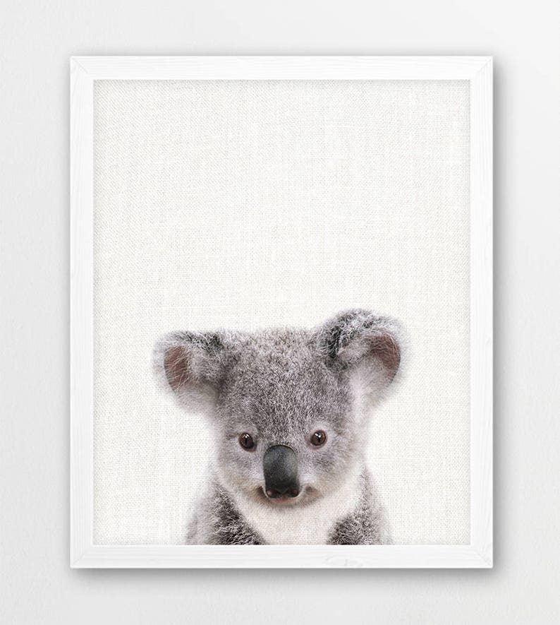 Australian Animals Nursery Decor Animals Print Set of 4 Baby Etsy