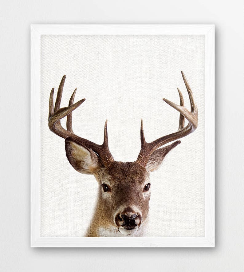 Woodland Nursery Decor Animals Print Set of Four Bear Moose Etsy