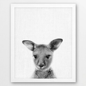 Kangaroo Print, Baby Kangaroo Photo, Australian Animals Photography, Nursery Animals Wall Art, Black White Print, Kids Room Printable Decor
