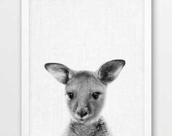 Impresión de canguro bebé, foto de animal australiano, arte de pared para habitación infantil (descarga digital)