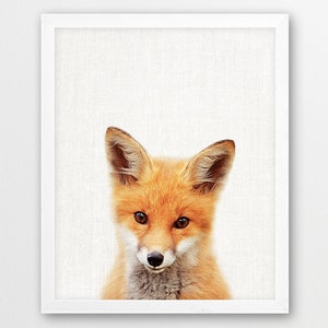 Fox Print, Animal Print, Woodland Animals Fox Print, Nursery Wall Art, Cute Baby Fox Photography, Kids Room Nursery Decor, Printable Digital
