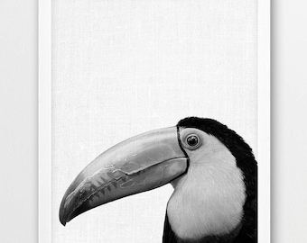 Toucan Print, Exotic Birds Toucan Photography, Black White Print, Nursery Wall Art, Cute Toucan Photo, Kids Room Nursery Printable Art Decor
