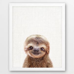 Sloth Print, Cute Baby Sloth Photo, Animals Art Photo, Baby Shower Gift ...