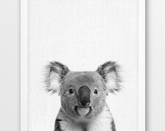 Koala Photo Print, Black and White Nursery Animals Art (Digital Download)