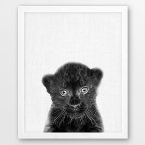 Panther Print, Cute Panther Cub Photo, Jungle Animals Black White Animal Photography, Baby Shower Nursery Gift,Kids Room Printable Art Decor