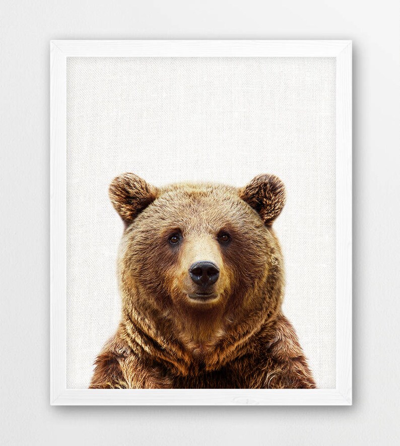 Woodland Nursery Digital Decor Animals Set of Four Bear - Etsy
