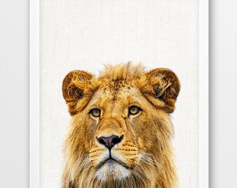 Löwen Portrait Druck, Afrikanische Safari Tierfotografie (Digital Download)