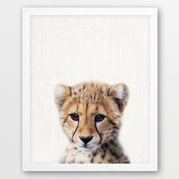 Cheetah Print, Cute Cheetah Cub Photo, Safari African Animals Photography, Nursery Wall Art, Baby Animal Color Photo Print, Kids Room Decor