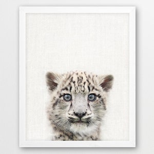 Snow Leopard Cub Print, Baby Snow Leopard photo, Mountain Animals Print, Nursery Wall Art, Cute Animals photo, Kids Room Printable Art Decor