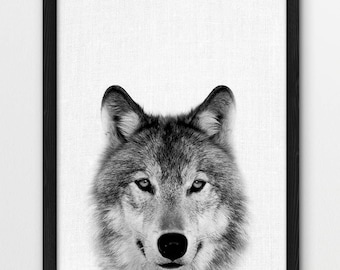 Grey Wolf Photo Print, Woodland Animals, Nursery Art (Digital Download)