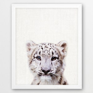 Snow Leopard Print, Baby Snow Leopard Cub photo, Mountain Animals Print, Nursery Wall Art, Cute Animals photo, Kids Room Printable Art Decor