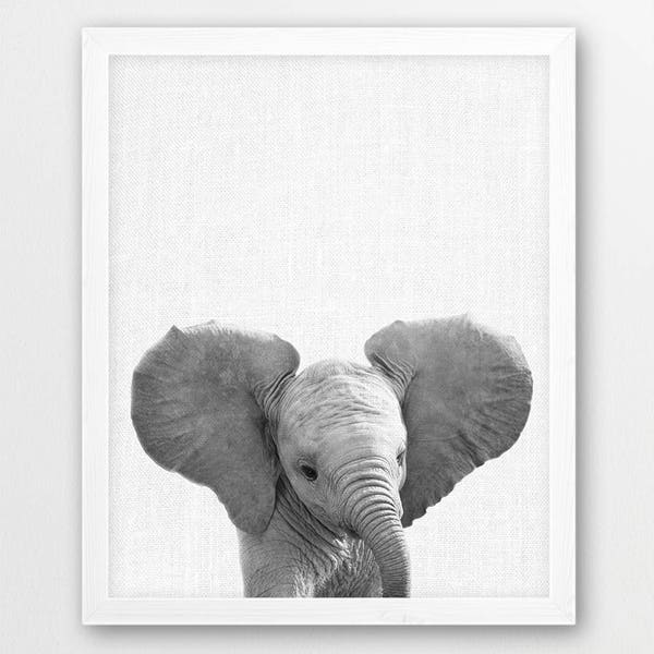 Elephant Print, Cute Baby Elephant Photo Print, Africa Safari Savanna Animals Art, Black White Photography, Nursery Wall Kids Room Art Decor