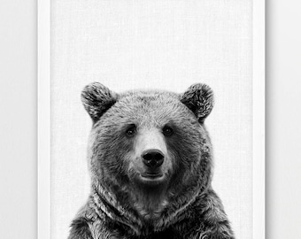 Bear Photo Print, Black and White Animal Photography (Digital Download)