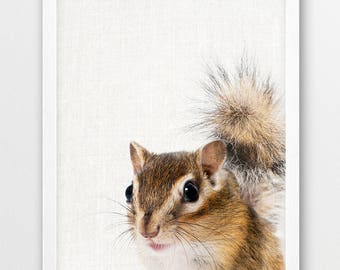 Cute Chipmunk Photo Print, Woodland Nursery Art (Digital Download)