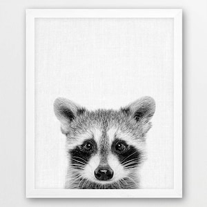 Raccoon Print, Cute Baby Raccoon, Black White Photo, Woodlands Animal Print, Nursery Wall Art, Animals Photo, Home Kids Room Printable Decor