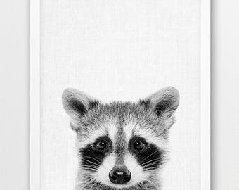 Raccoon Print, Cute Baby Raccoon, Black White Photo, Woodlands Animal Print, Nursery Wall Art, Animals Photo, Home Kids Room Printable Decor