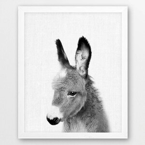 Donkey Print, Donkey Photo, Animals Art Photo, Baby Shower Gift, Nursery Animal Wall Art, Black White Photography, Kids Room Printable Decor