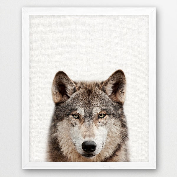 Wolf Print, Woodland Animals Print, Wolf Photo, Home Nursery Wall Art, Grey Wolf Photography, Kids Room Nursery Decor, Printable Digital Art